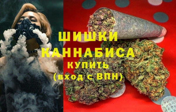 ешки Белокуриха