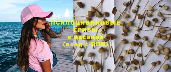 ПСИЛОЦИБИНОВЫЕ ГРИБЫ Белоозёрский